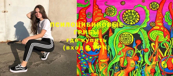 гашик Лагань