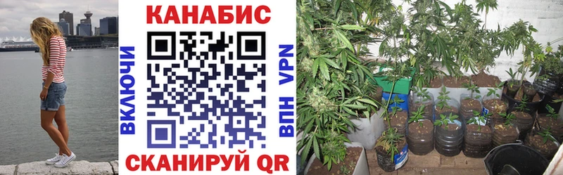 Марихуана THC 21%  Купить закладки  Шахты 